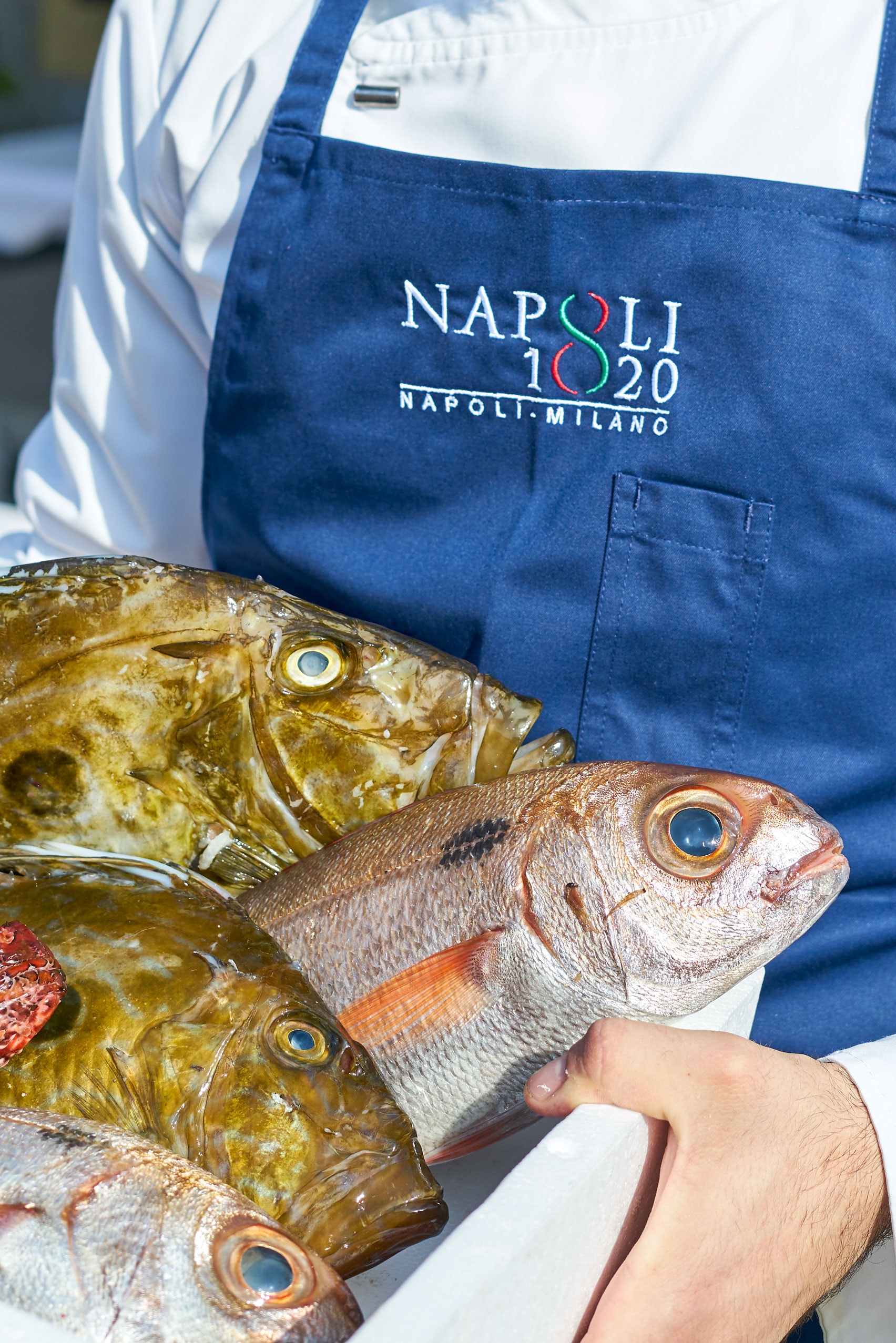 Chef con cassetta di pesce fresco — ingredienti del giorno al Napoli 1820